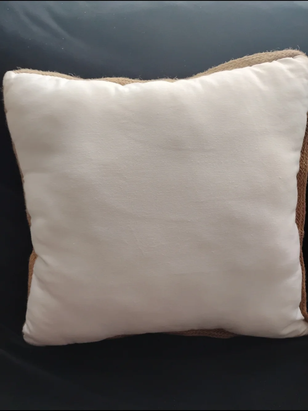 Coastal Turtle & Whale Throw Pillow Pair -Blue & White Embroidered Text. 16x16